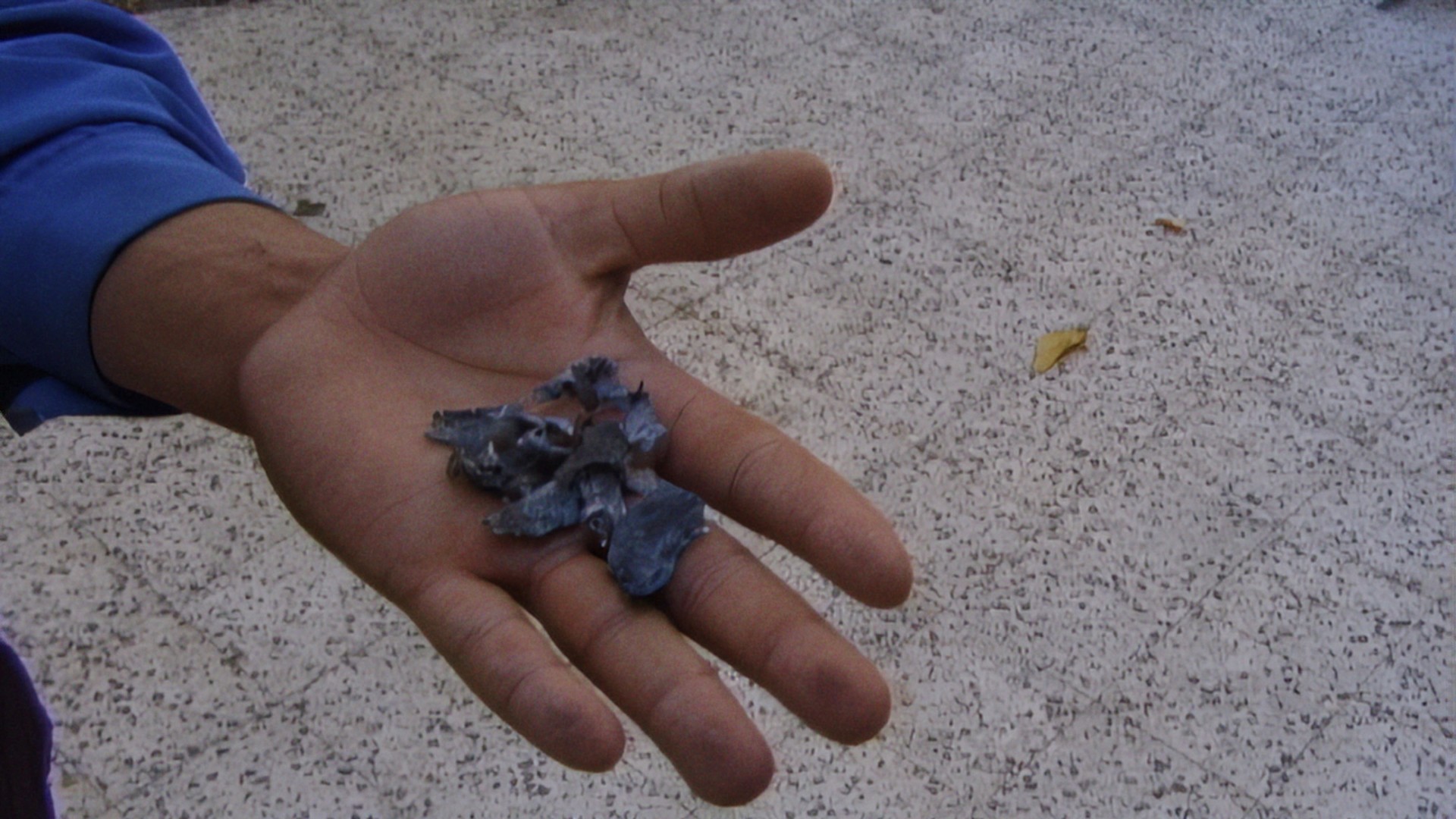 c0a364e-p-312025-print6.jpg - IN München - Das Stadtmagazin Bilder aus Mit Hasan in Gaza