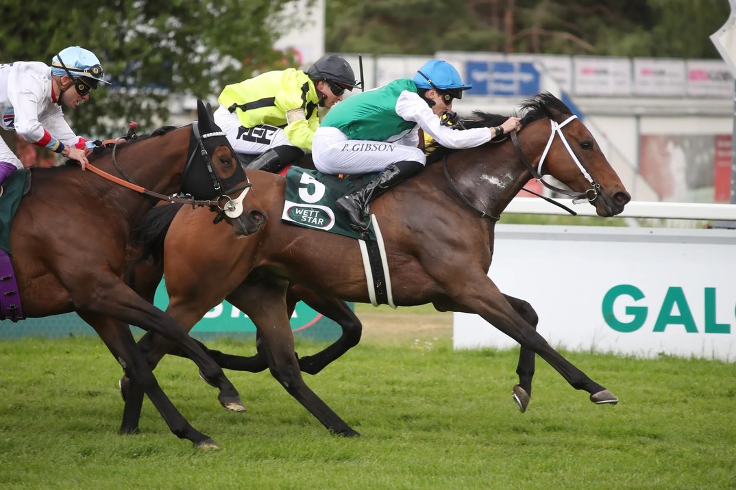 Allianz Familienfest