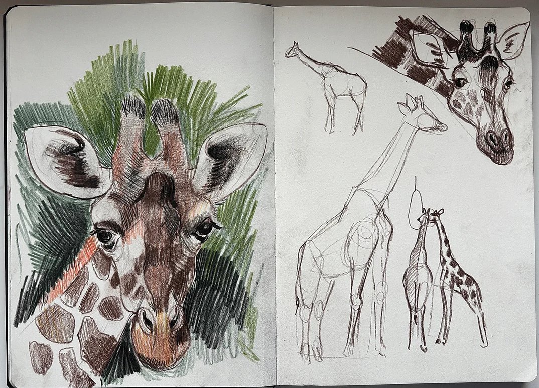 Zeichenkurse: Mit der „Feder“ in der Hand