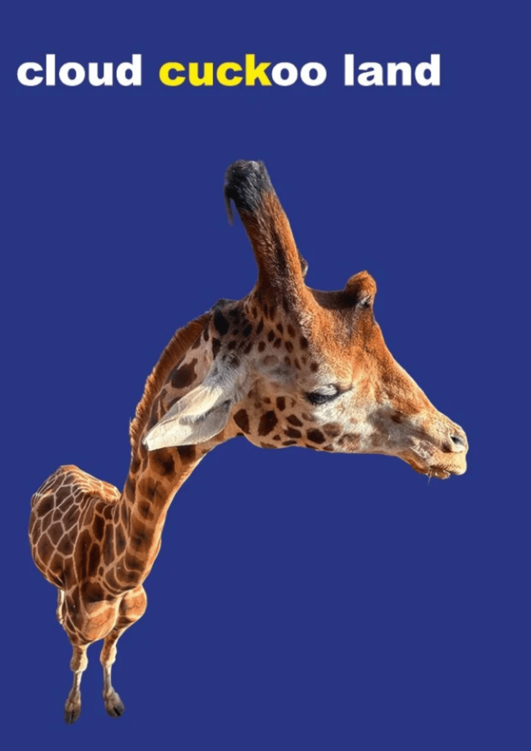 Vernissage „Cloud Cucko Land“