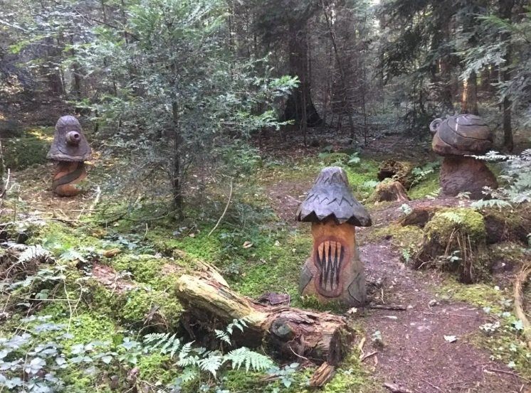 Märchenwanderung – Eine Reise zu den Bäumen aus aller Welt