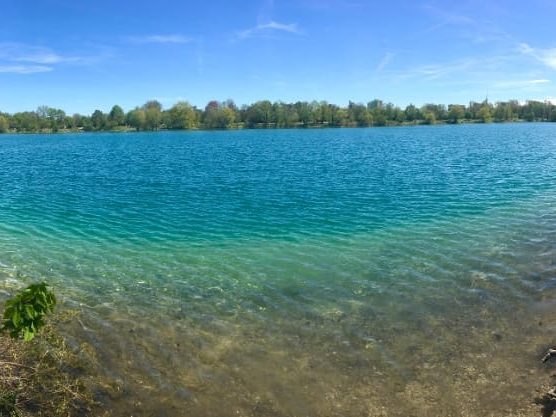 See München: Fasaneriesee