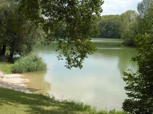 See München: Poschinger Weiher