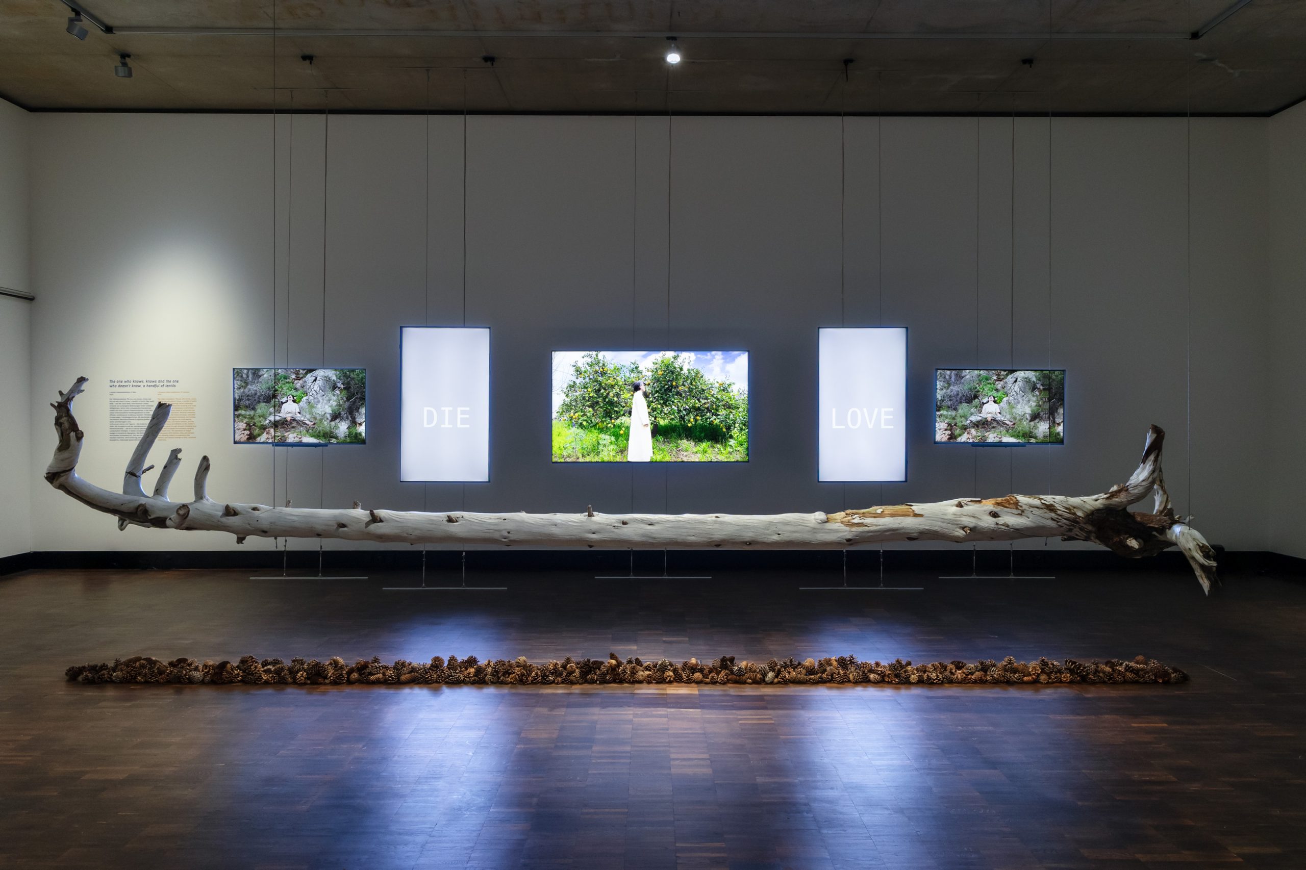 Ausstellungen im Mai