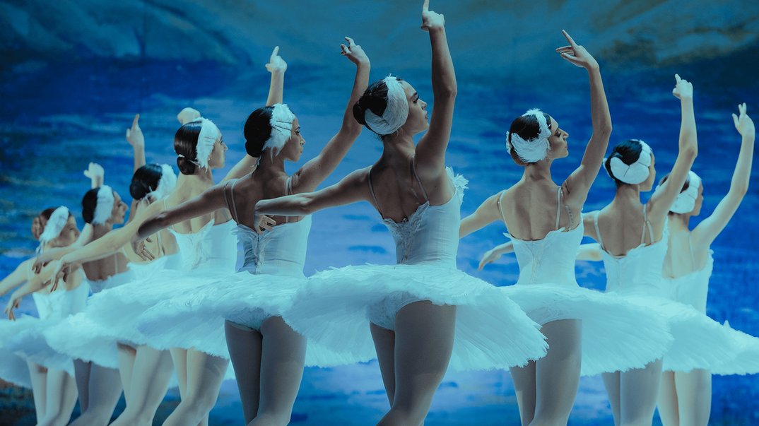 Schwanensee – Jenseits der Bühne