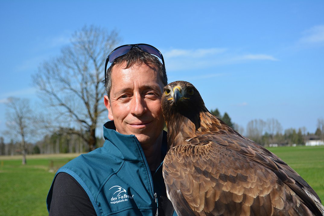 Greifvogeltag auf Burg Grünwald