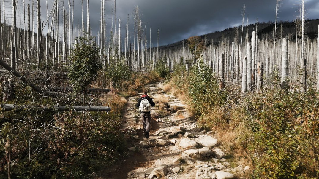 DOK.fest 2026: Das Gewicht der Welt