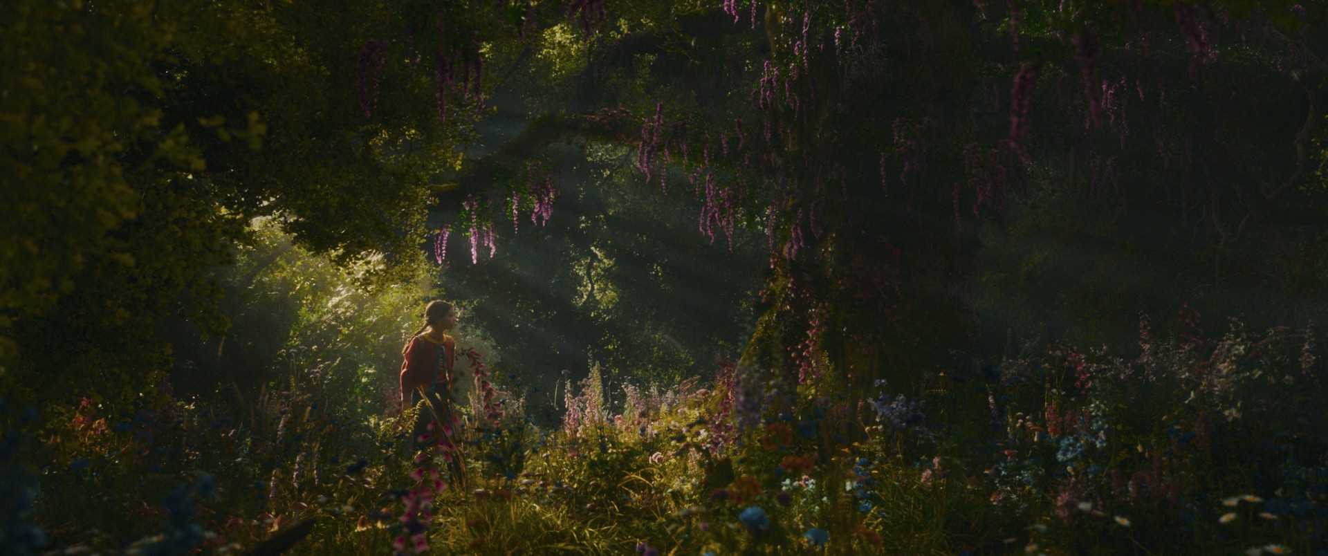 Bilder aus Der Wunderweltenbaum