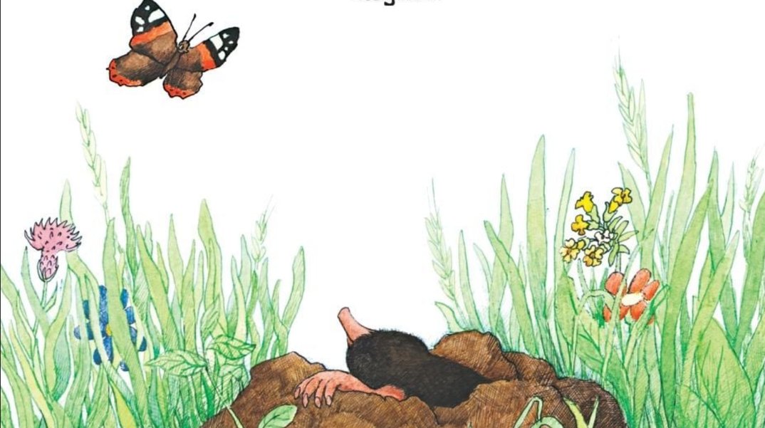 Der Maulwurf Grabowski