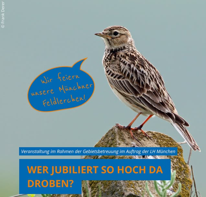 Wer jubiliert so hoch da droben? Wir feiern unsere Lerchen