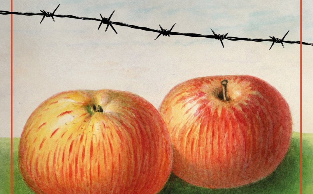 Gerd Holzheimer „Ein stummer Hund will ich nicht sein“