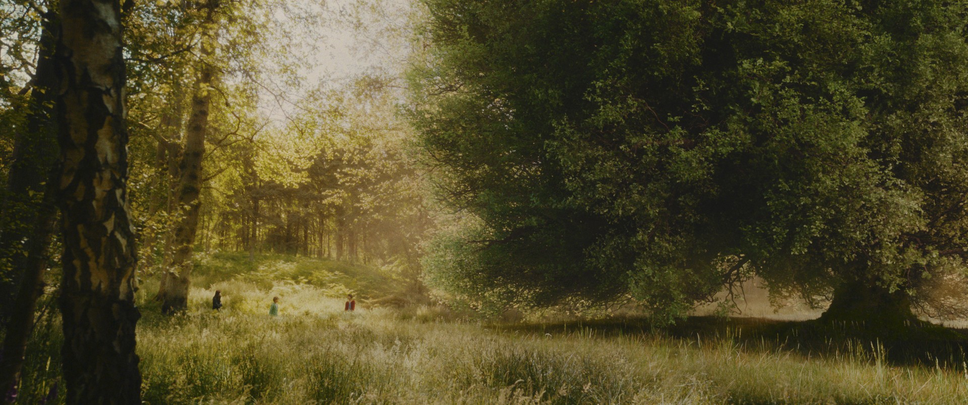 Bilder aus Der Wunderweltenbaum