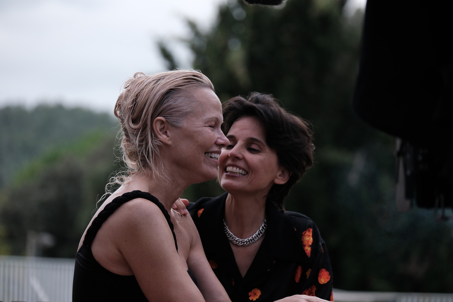 Bilder aus Rosebush Pruning