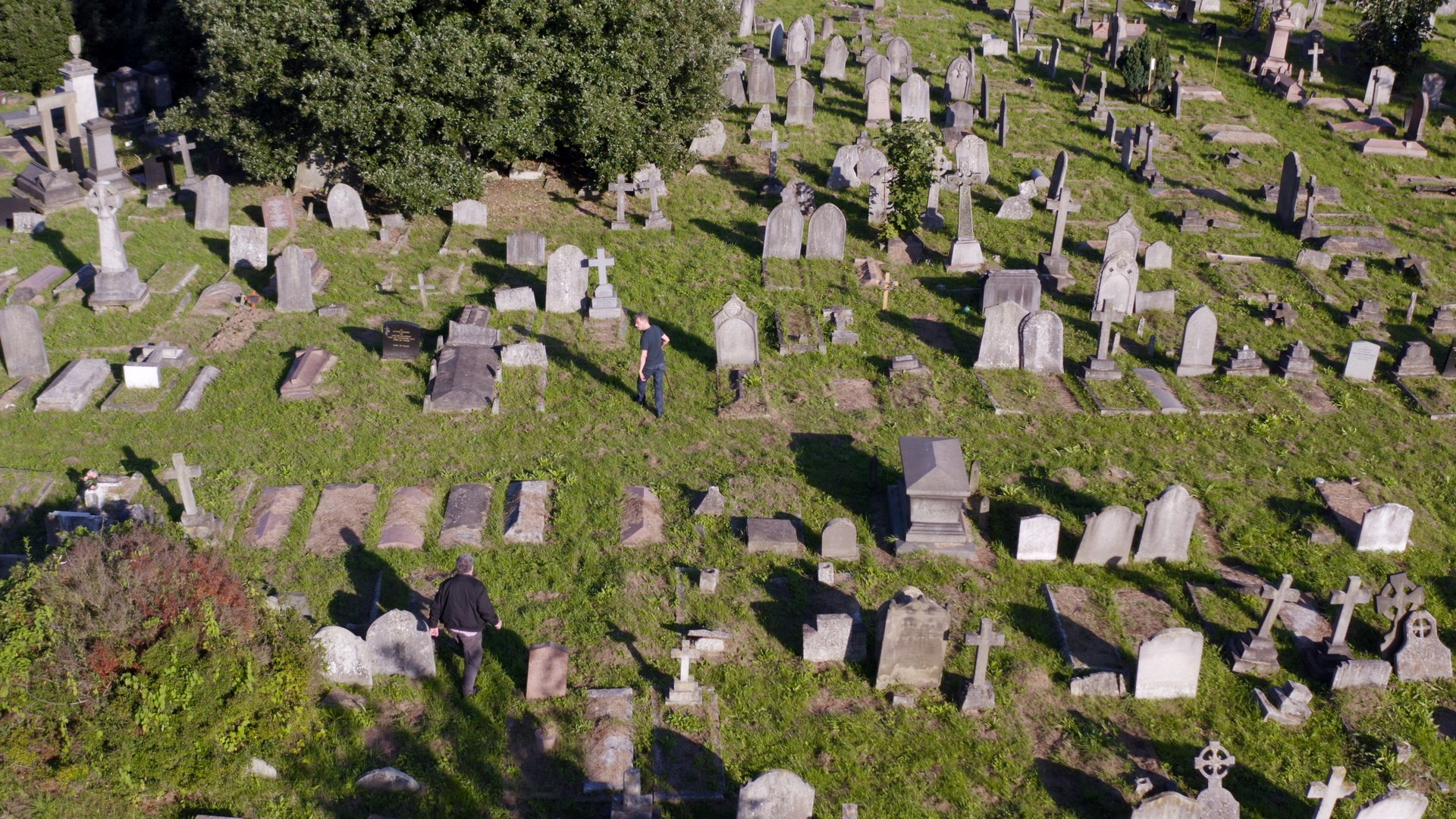 Friendly Fire – Erich Fried