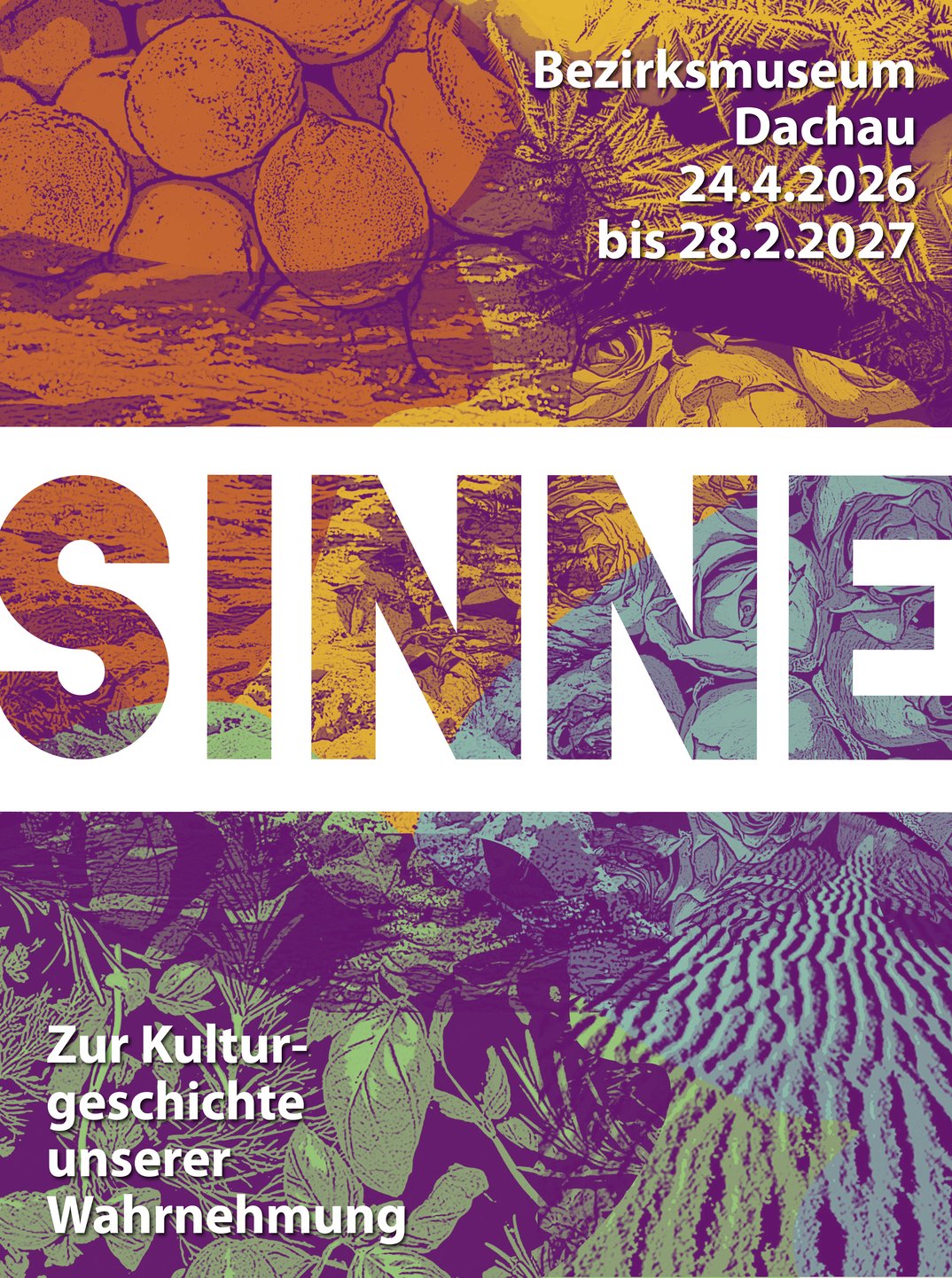 Sinne – Zur Kulturgeschichte unserer Wahrnehmung