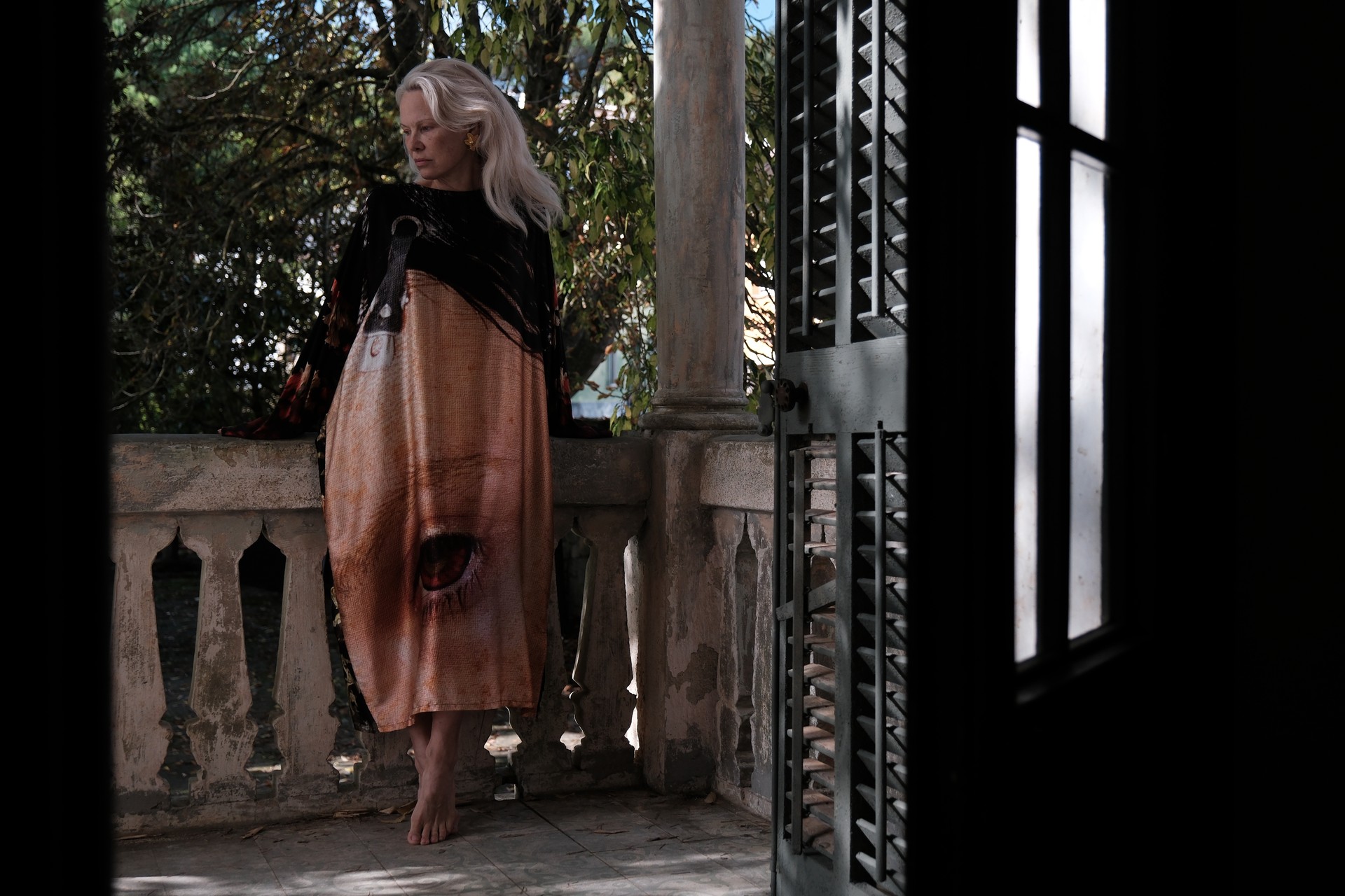 Bilder aus Rosebush Pruning