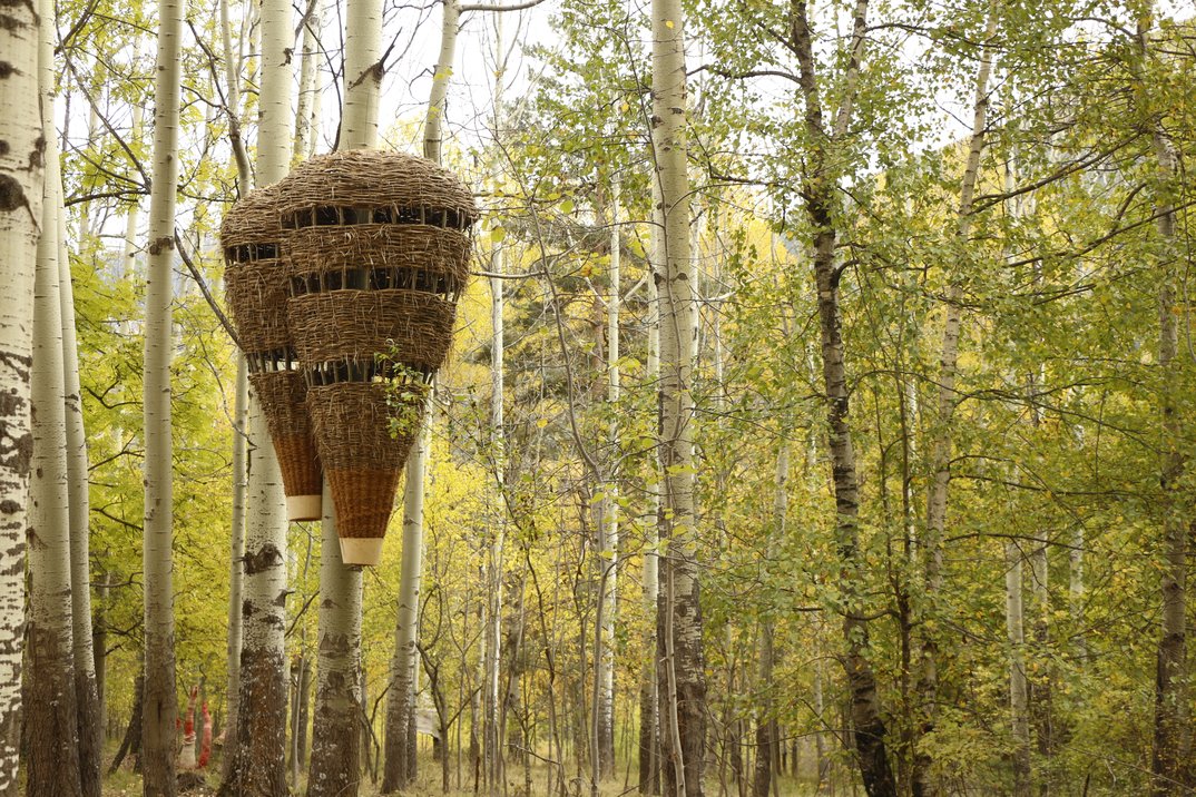 Utopien der Natur • verflochtene Zeiten