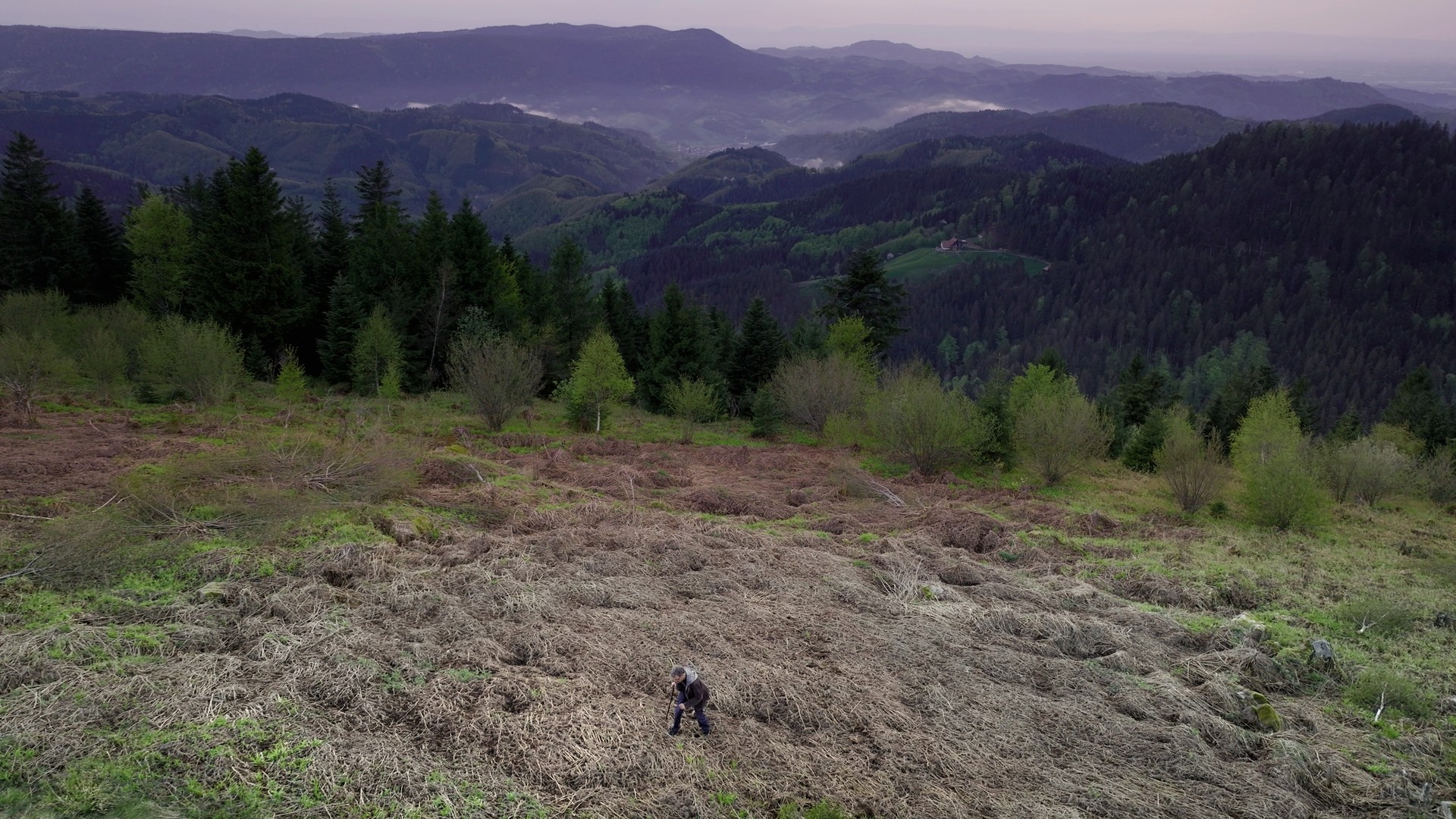 Bilder aus Friendly Fire - Erich Fried