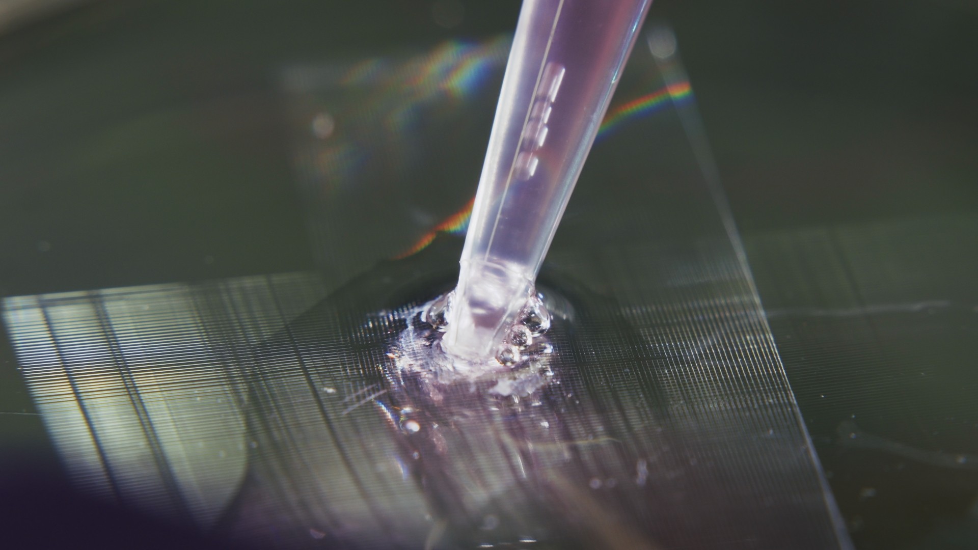 Future Science – Das Ende der Tierversuche?