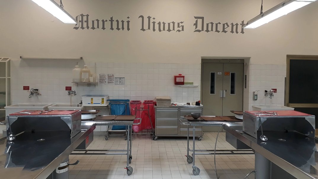 Leichenpräparator Alfred Riepertinger – Teil 2