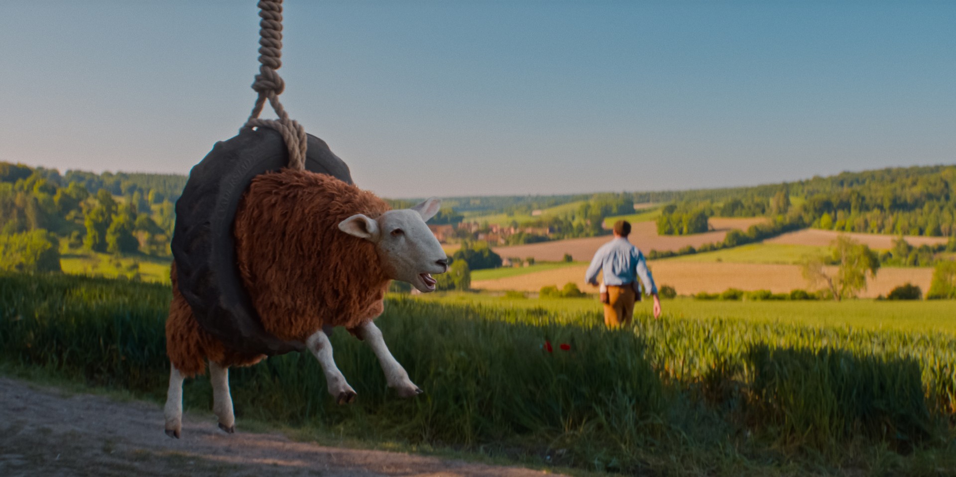 Bilder aus Glennkill: Ein Schafskrimi