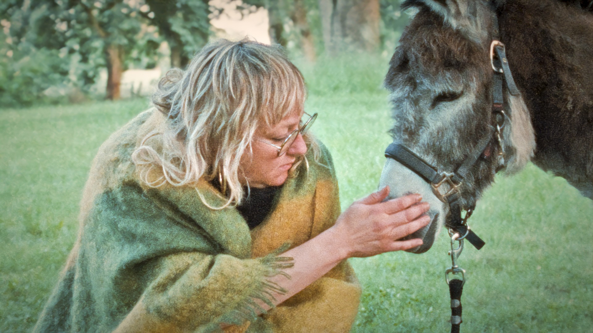Bilder aus Donkey Days