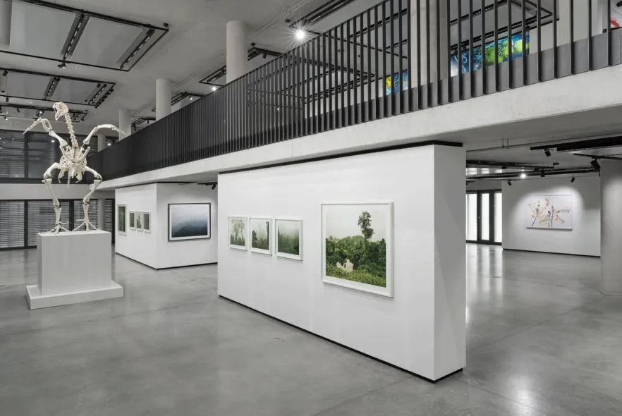 Am 11.6.: Bergson Curators‘ Dinner