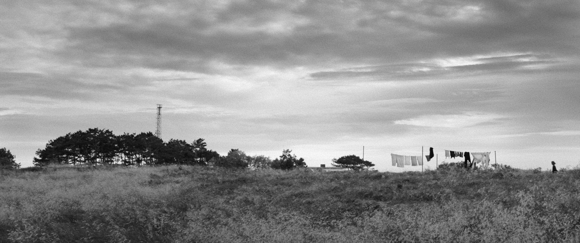 506c131-p-315567-print7.jpg - IN München - Das Stadtmagazin Bilder aus Hiddensee