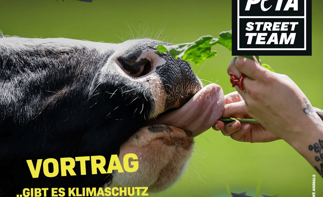 Klimaschutz: Gibt es Klimaschutz ohne Veganismus?