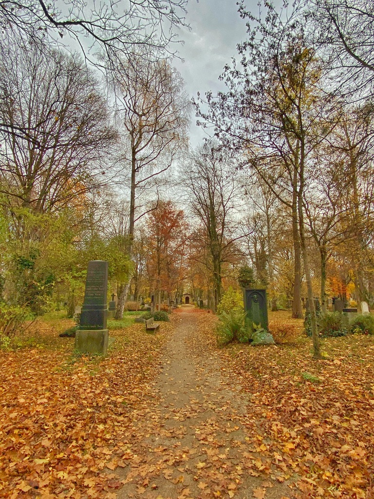 Alter-Südfriedhof-Muenchen - IN München - Das Stadtmagazin Autumn cemetery path lined with tombstones and colorful fallen leaves on the ground
