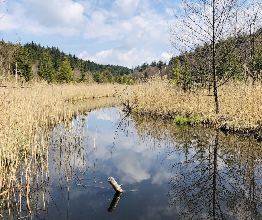 Deininger Weiher - IN München - Das Stadtmagazin Deininger Weiher