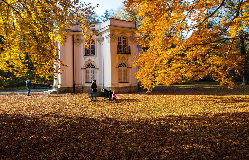 Schlosspark Pagodenburg im Herbst, © München Tourismus, Werner Boehm - IN München - Das Stadtmagazin Herbstspaziergang München Nymphenburger Schlosspark Pagodenburg