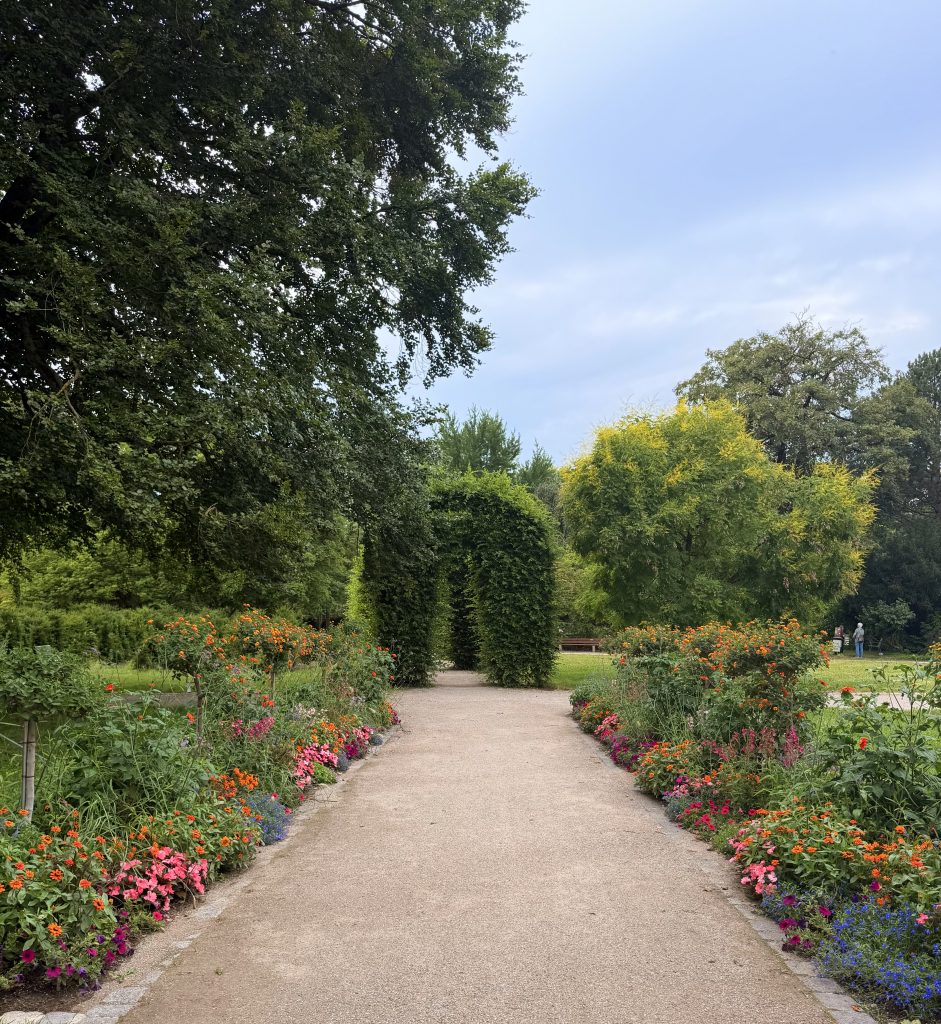 baum-torbogen-rosengarten-muenchen - IN München - Das Stadtmagazin Baumtorbögen und angelegter Weg im Rosengarten München