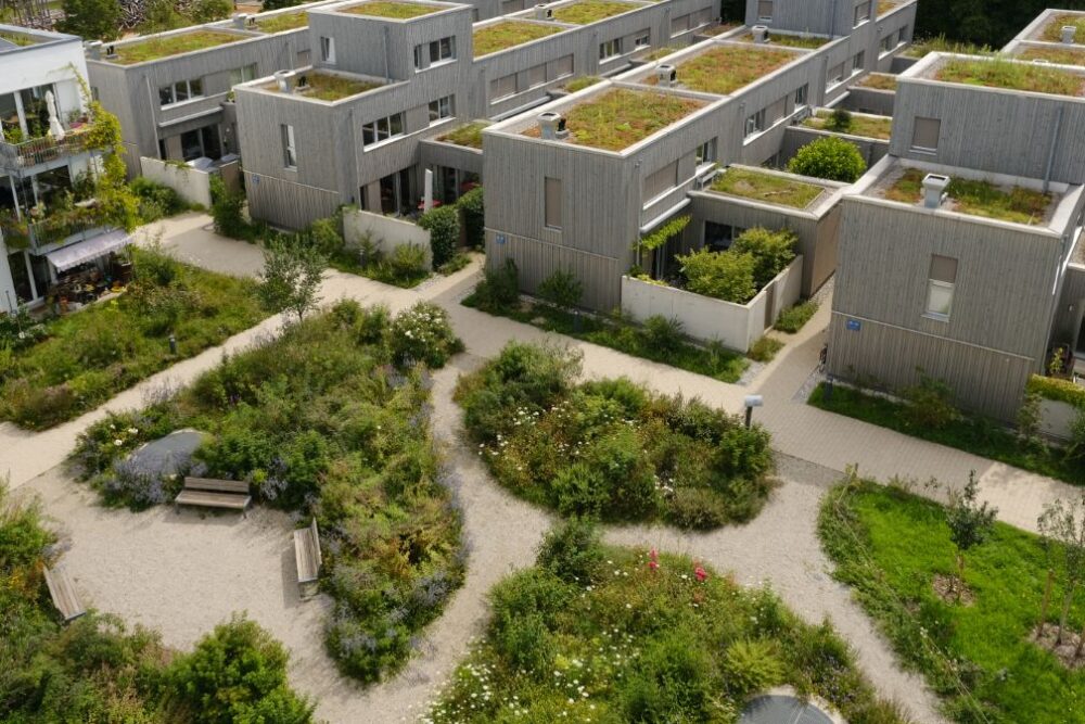 Urban Green & Blue Infrastructure – klimaresiliente Städte