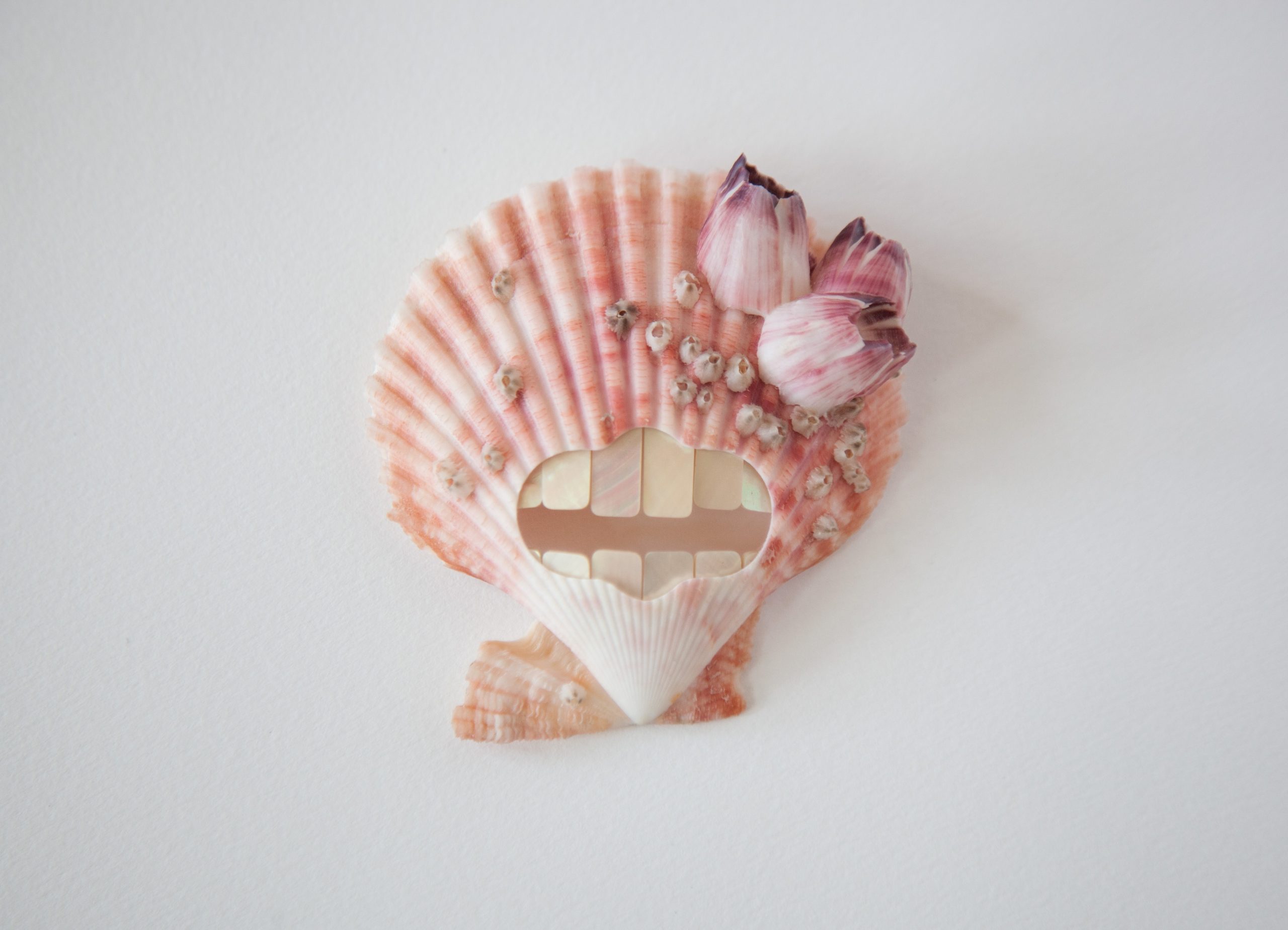 Shell-based art piece forming a stylized face, using pink scallop shells with small white shells as teeth and a rectangular shell mouth edge