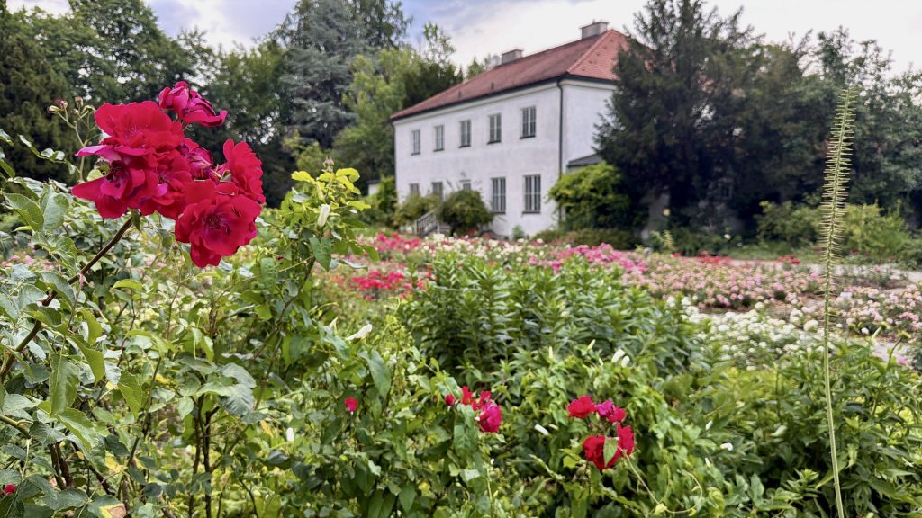 rosengarten-muenchen - IN München - Das Stadtmagazin Großes Rosenbeet im Rosengarten München Untergiesing. Rote Rosen im Vordergrund