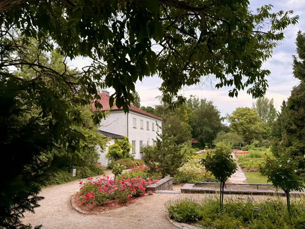 rosengarten-muenchen-eingang-isardammweg - IN München - Das Stadtmagazin Eingangsbereich des Rosengartens München