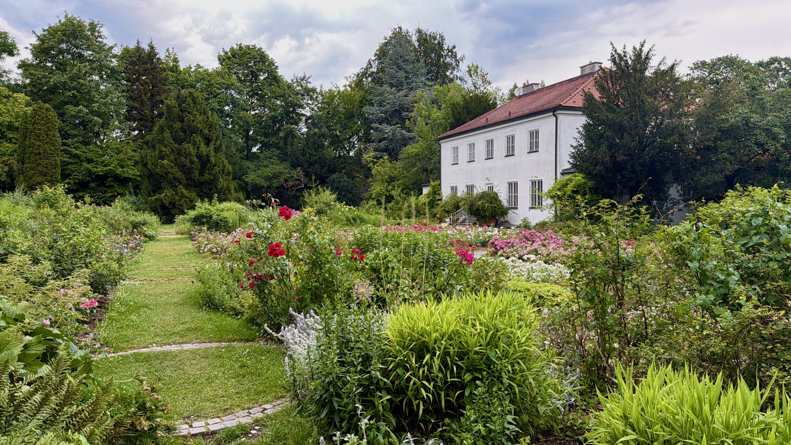 Trampelpfad zwischen den bunten Rosenbeeten im Rosengarten München Untergiesing
