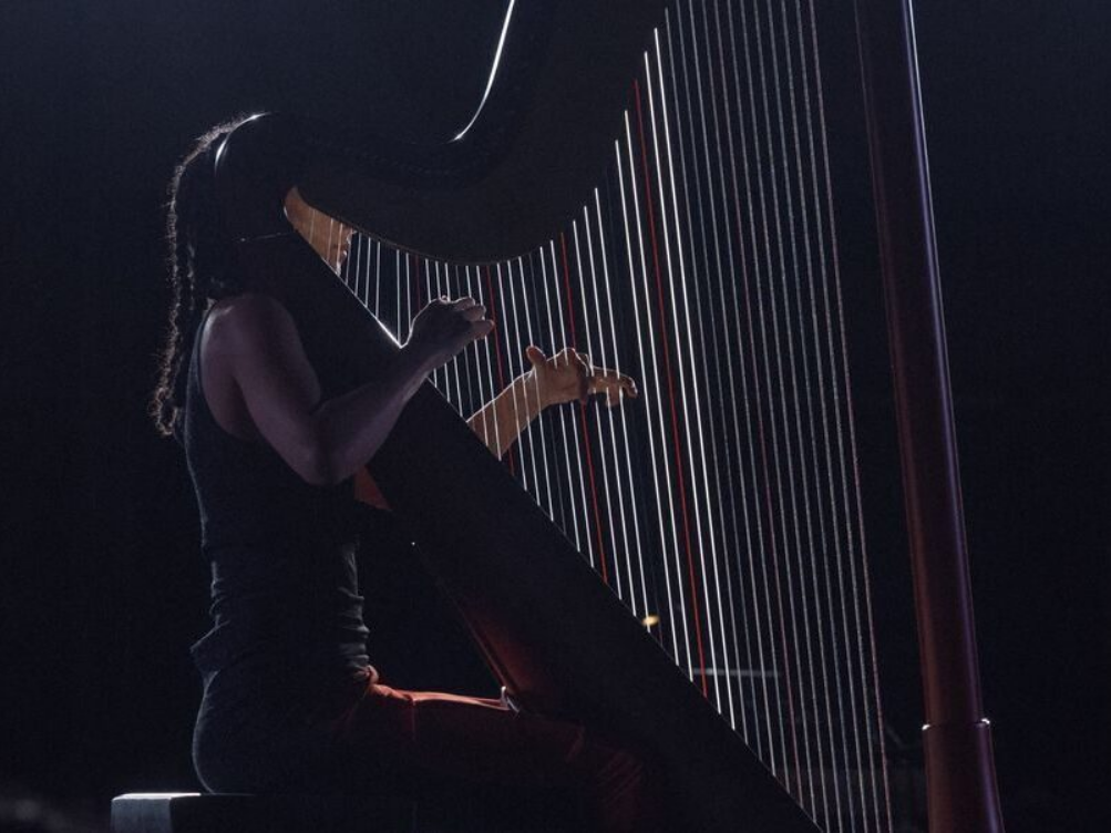 TUNE Installation | Miriam Adefris. A Hundred Vast proximities