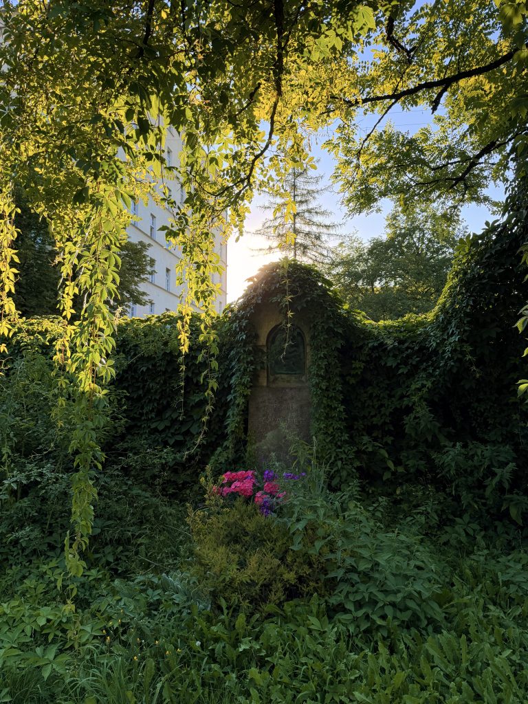 Efeuumranktes Grab im alten Südfriedhof München
