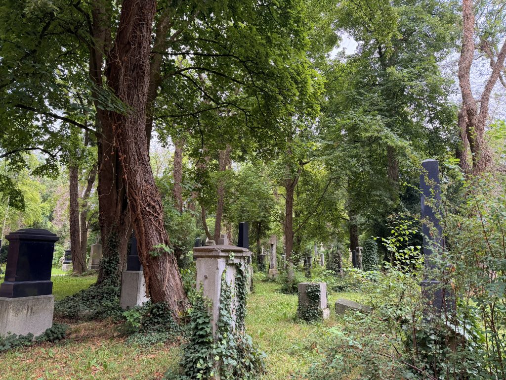 Overgrown cemetery with tall trees and weathered tombstones partially obscured by ivy and undergrowth. A quiet, shaded graveyard scene.