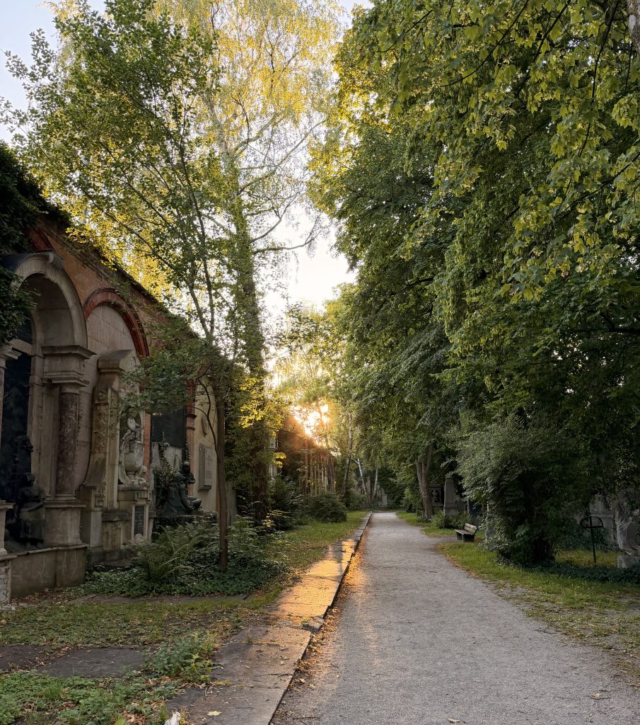 Cemetery path lined with old stone monuments on the left, tall trees arching overhead and sunlight filtering through foliage