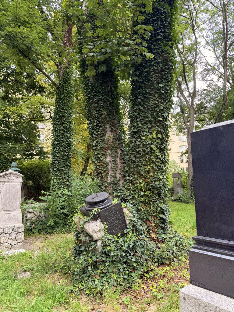Gravestones and a monument obscured by dense ivy climbing up tree trunks in a small, leafy cemetery.
