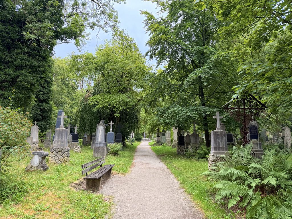 Weg durch den alten Teil des Südfriedhofs entlang der Gräber links und rechts