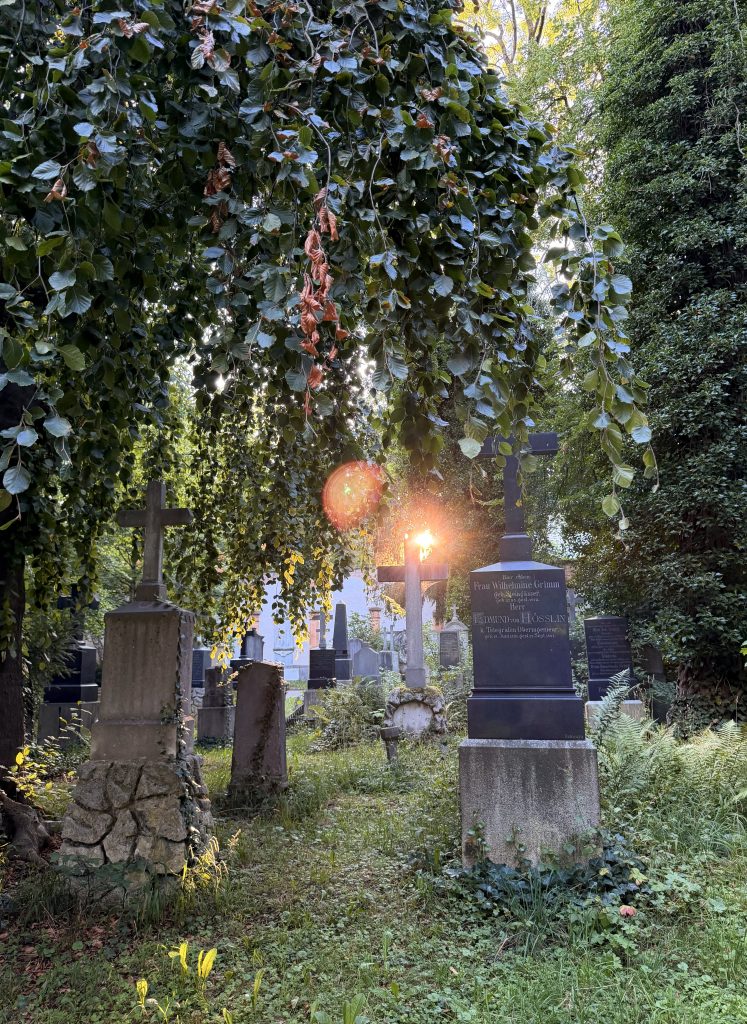 Cemetery with tall leafy trees arching over weathered gravestones and crosses; sunlight glows through the branches in the background.