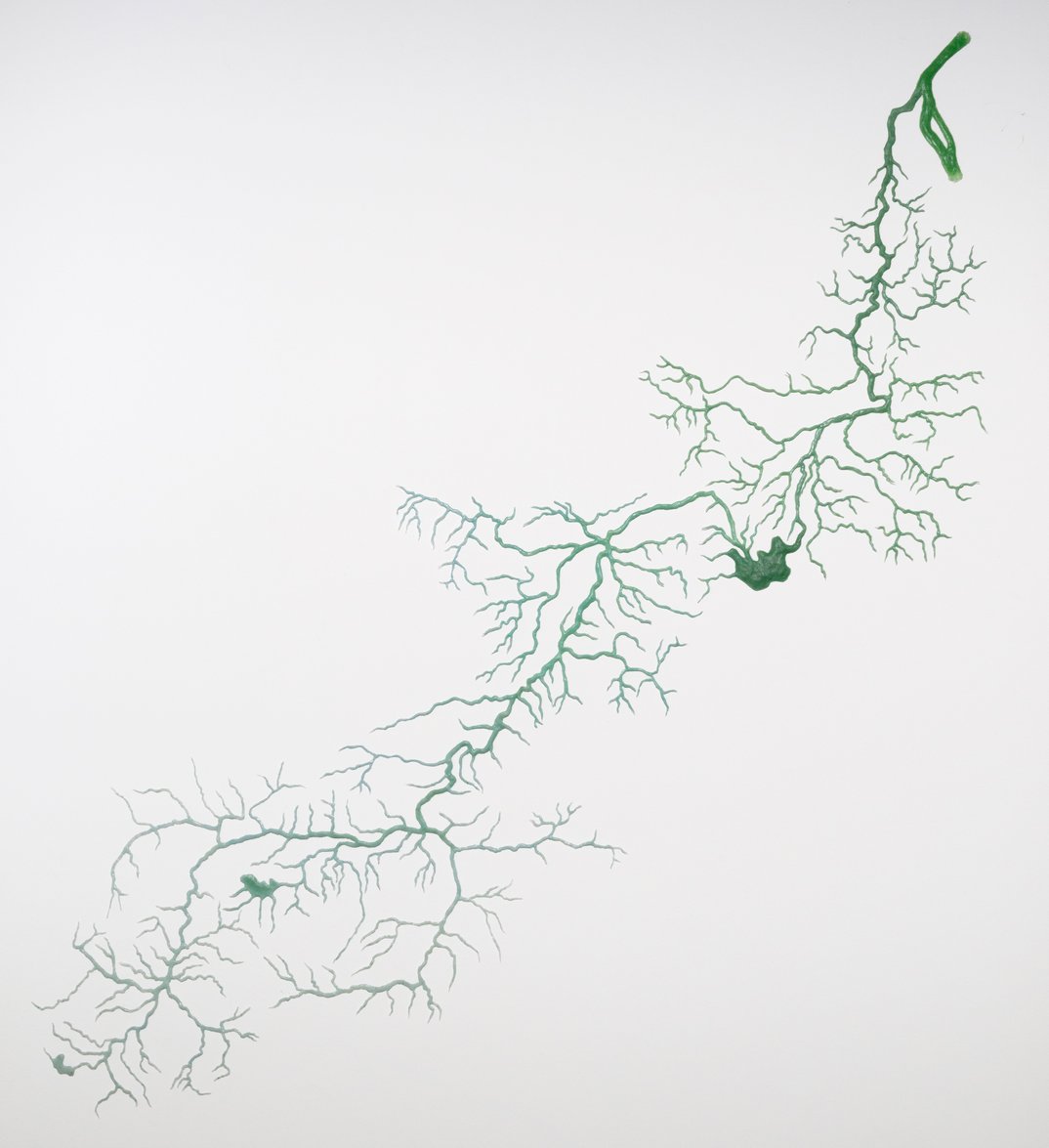Dialogue of Water Bodies / Dialog der Gewässer