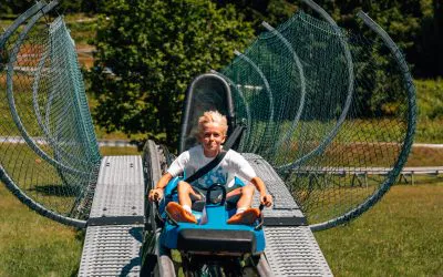 sommerrodelbahn-bayerischer-wald-coaster-1 - IN München - Das Stadtmagazin Smiling child seated in a blue ride vehicle on a metal track with curved safety fencing, outdoors on a sunny day.