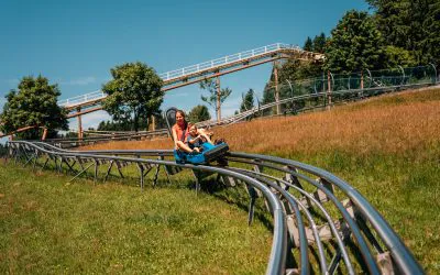 sommerrodelbahn-bayerischer-wald-coaster-3 - IN München - Das Stadtmagazin Two riders on a blue roller coaster car curve along a winding metal track over a grassy hillside with trees and a clear blue sky.