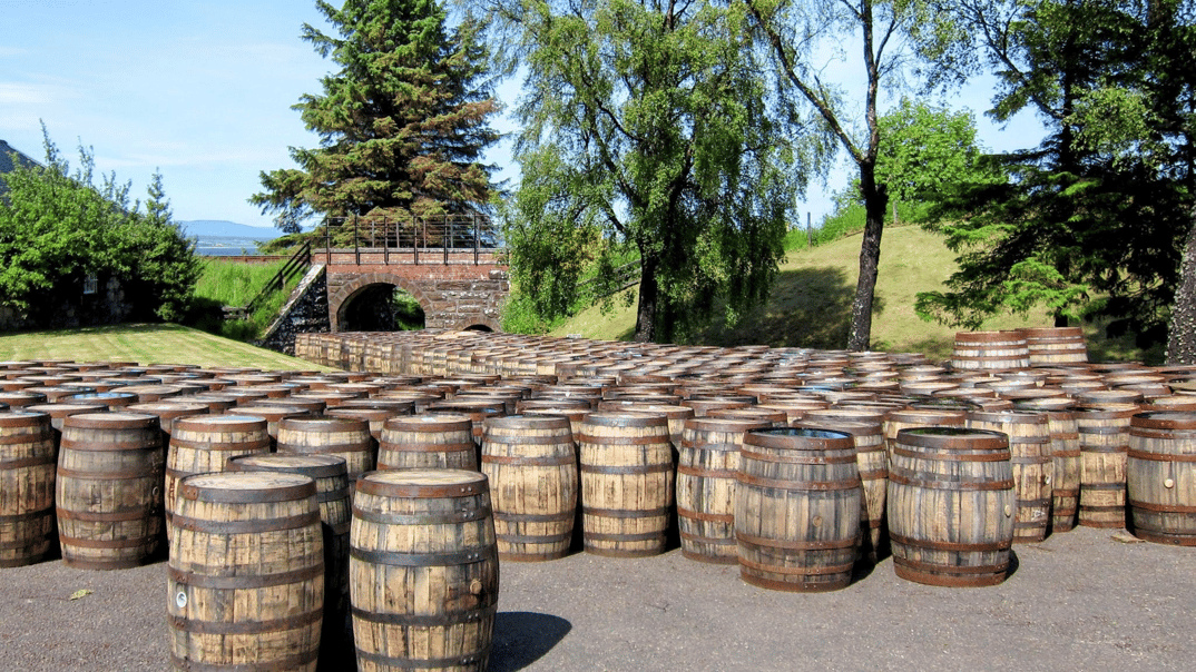 Whiskys picked by Experts