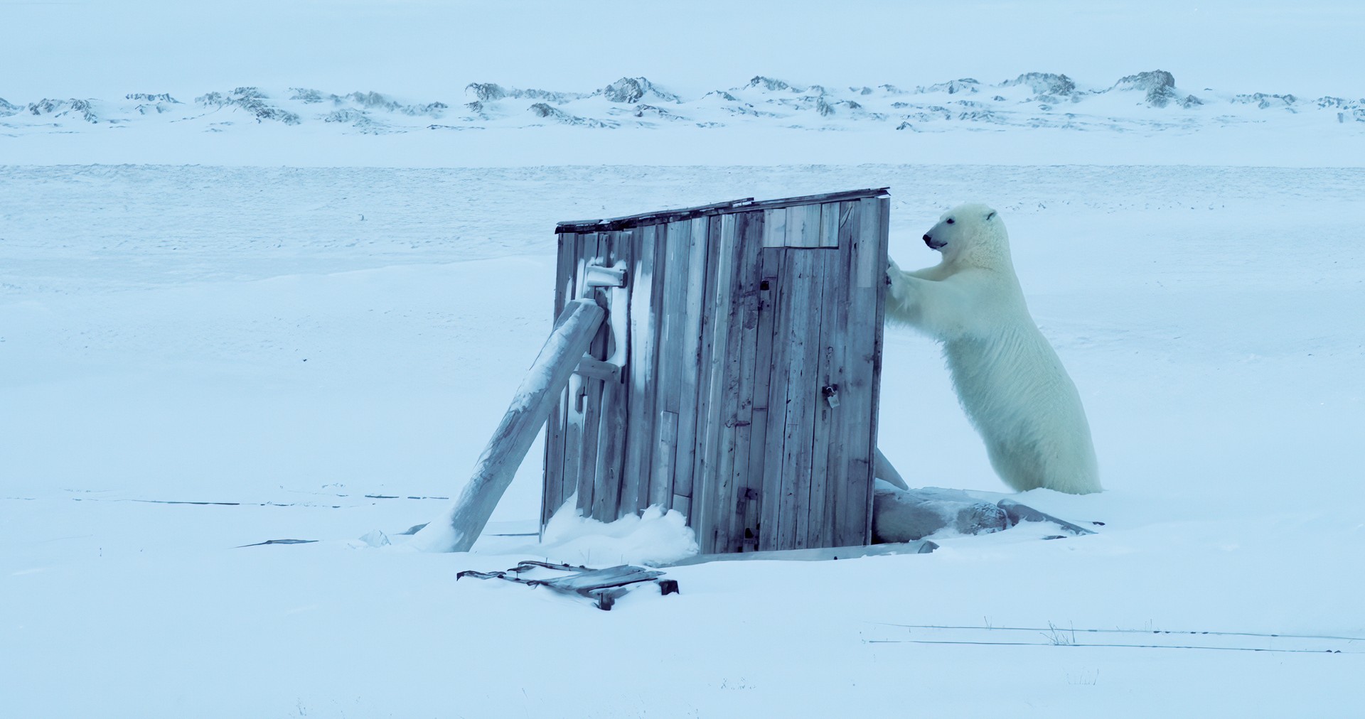 Bilder aus Frost ohne Schnee und Eis